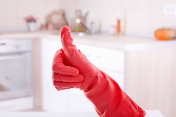 Household Gloves
