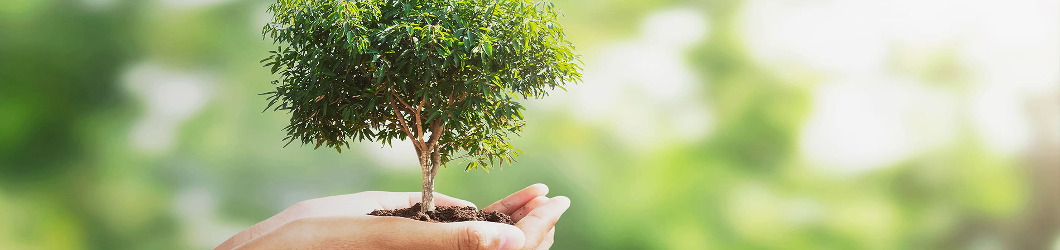 We Act with the Principle of Environmental Protection