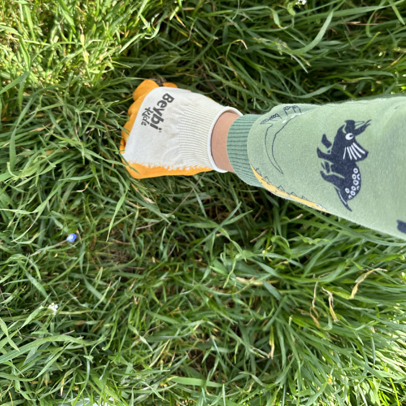 Temiz Eller Temiz Nesiller