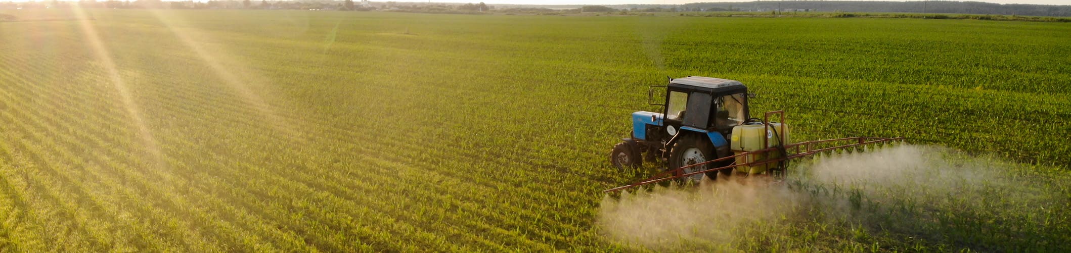 We Support Sustainable Agriculture by Reducing Chemical Use