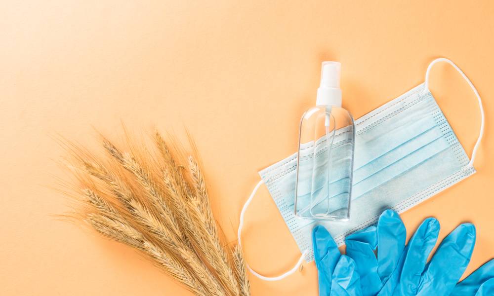 Toptan Muayene Eldiveni Nereden Alınır?